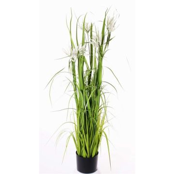 Künstliches Sterngras TAIGA mit Rispen, grün, 140cm