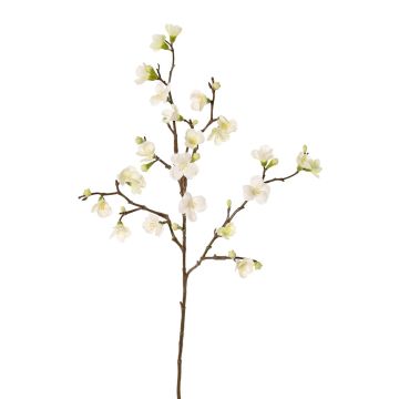 Apfelblütenzweig künstlich SADAKA mit Blüten, creme, 70cm, Ø3-4cm