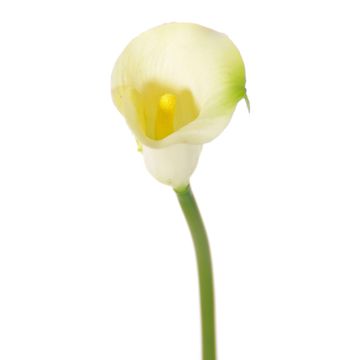 Kunstblume Calla CHIDORA, creme, 55cm, 4,5x5,5cm