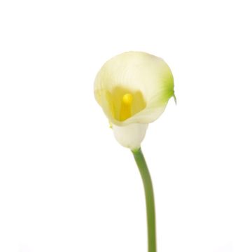 Kunstblume Calla CHIDORA, creme, 55cm, 4,5x5,5cm