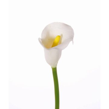 Kunstblume Calla CHIDORA, weiß, 55cm, 4,5x5,5cm