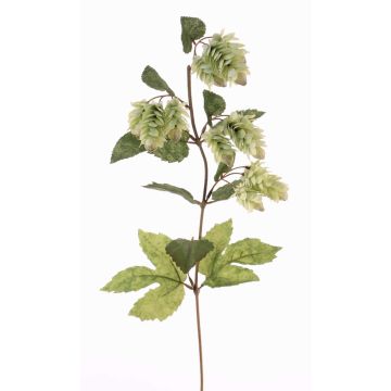 Künstlicher Hopfenzweig AXEL mit Blüten, hellgrün, 75cm, Ø3cm