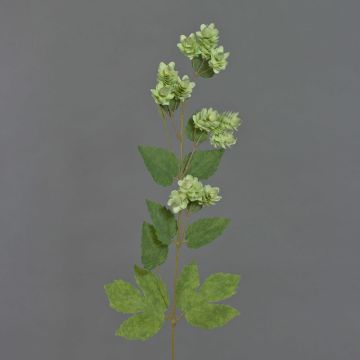 Künstlicher Hopfenzweig AXEL mit Blüten, hellgrün, 75cm, Ø3cm