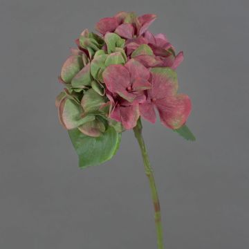 Hortensien Kunstblume CHIDORI, rot-grün, 30cm, Ø13cm