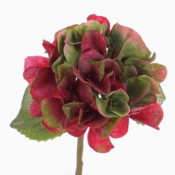 Hortensien Kunstblume CHIDORI, rot-grün, 30cm, Ø13cm Hortensien Kunstblume CHIDORI, rot-grün, 30cm, Ø13cm