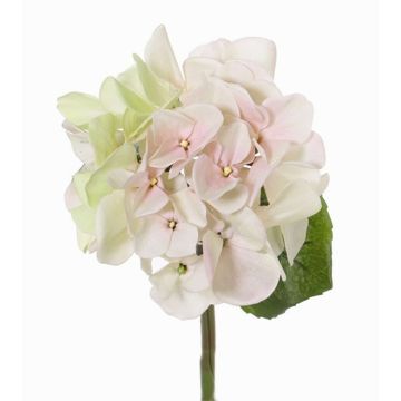 Hortensien Kunstblume CHIDORI, creme-rosa-grün, 30cm, Ø13cm