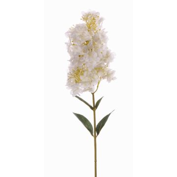 Kunstblume Hortensie Paniculata LINYA, creme, 80cm, Ø11cm