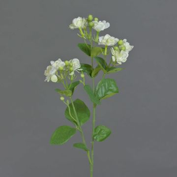 Künstlicher Jasmin Zweig SINJA, weiß-grün, 60cm, Ø4cm Künstlicher Jasmin Zweig SINJA, weiß-grün, 60cm, Ø4cm