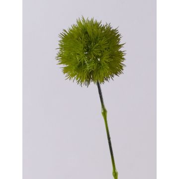 Künstliche Wollgras Rispe ZORRO, weiß-grün, 45cm Künstliche Wollgras Rispe ZORRO, weiß-grün, 45cm