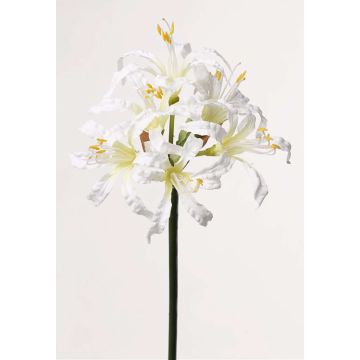 Gartenamaryllis künstlich MONJA, weiß, 70cm, Ø12cm