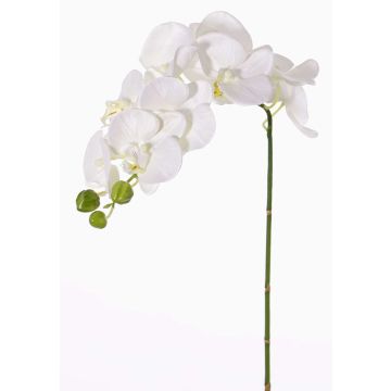 Phalaenopsis künstliche Orchidee GALINA, weiß, 60cm, Ø6-8cm
