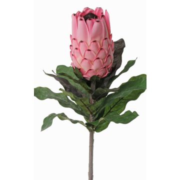 Kunstblume Protea NELLI, rosa-pink, 75cm, Ø8cm