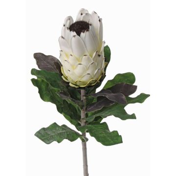 Kunstblume Protea NELLI, weiß-gelb, 75cm, Ø8cm