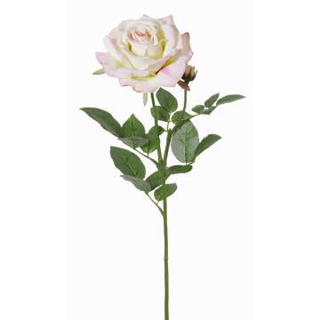 Kunst Rose JANINE, creme-pink, 70cm, Ø12cm Kunst Rose JANINE, creme-pink, 70cm, Ø12cm