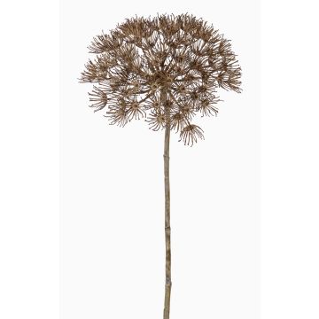Kunststoff Bärenklau ANSARI, Trockenoptik, braun, 80cm, Ø22cm