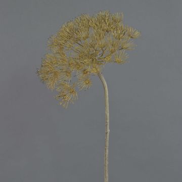 Kunststoff Bärenklau ANSARI, Trockenoptik, braun, 80cm, Ø22cm