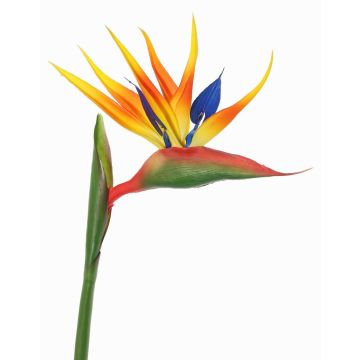 Künstliche Papageienblume LATIFA, orange-violett, 90cm, 17x20cm Künstliche Papageienblume LATIFA, orange-violett, 90cm, 17x20cm