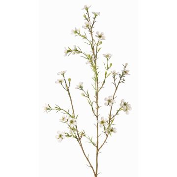 Künstliche Wachsblume NIANG, creme, 80cm, Ø1,5-2,5cm Künstliche Wachsblume NIANG, creme, 80cm, Ø1,5-2,5cm
