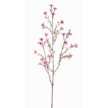 Künstliche Wachsblume NIANG, rosa-pink, 80cm, Ø1,5-2,5cm