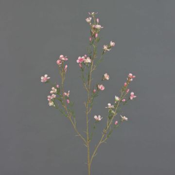 Künstliche Wachsblume NIANG, rosa-pink, 80cm, Ø1,5-2,5cm