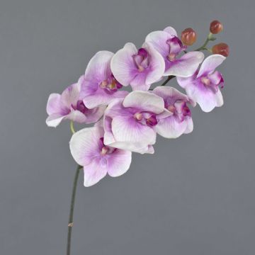 Künstlicher Phalaenopsis Orchideen Zweig ENISA, rosa-weiß, 60cm, Ø7-8cm