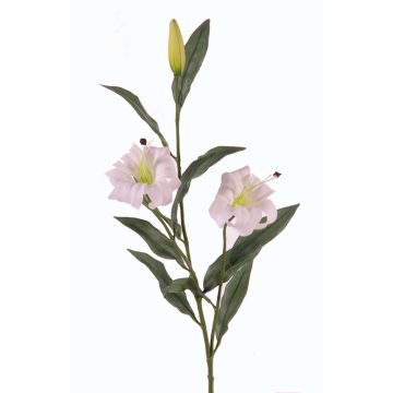 Künstlicher Zweig Türkenbundlilie DANBI, weiß-grün, 85cm, Ø9cm Künstlicher Zweig Türkenbundlilie DANBI, weiß-grün, 85cm, Ø9cm