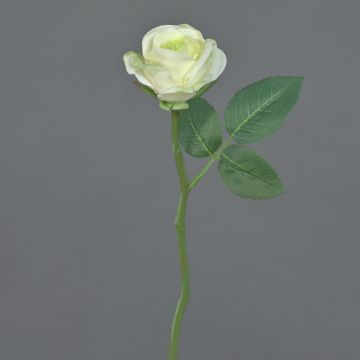 Kunstblume Rose GABI, creme-grün, 30cm, Ø6cm