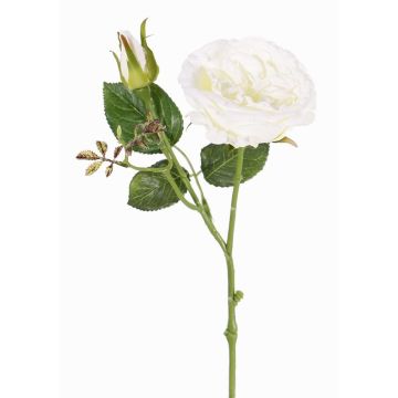 Fake Zweig Kohl-Rose JUDY, creme, 40cm, Ø9cm