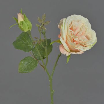 Fake Zweig Kohl-Rose JUDY, creme-rosa, 40cm, Ø9cm