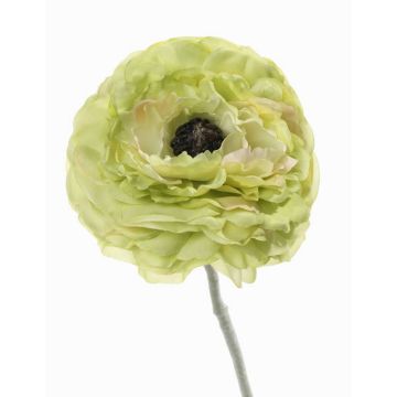 Künstliche Ranunkel ALIMA, grün, 35cm, Ø8cm Künstliche Ranunkel ALIMA, grün, 35cm, Ø8cm