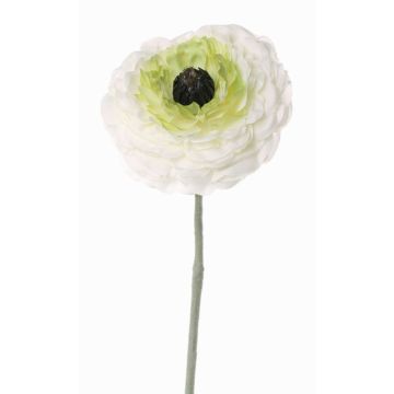 Künstliche Ranunkel ALIMA, creme-grün, 35cm, Ø8cm