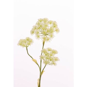 Kunstblume Bärenklau ABDEROS, creme, 105cm, Ø12-20cm