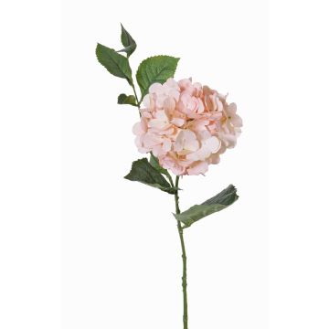 Künstliche Hortensie ASUKA, rosa, 80cm, Ø15cm Künstliche Hortensie ASUKA, rosa, 80cm, Ø15cm
