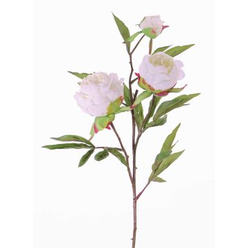 Pfingstrosen Zweig künstlich MANJA, weiß, 70cm, Ø8-10cm Pfingstrosen Zweig künstlich MANJA, weiß, 70cm, Ø8-10cm