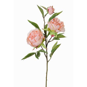 Pfingstrosen Zweig künstlich MANJA, rosa, 70cm, Ø8-10cm Pfingstrosen Zweig künstlich MANJA, rosa, 70cm, Ø8-10cm