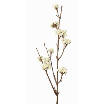 Liebesperlenstrauch Zweig künstlich LARINA mit Beeren, creme, 50cm