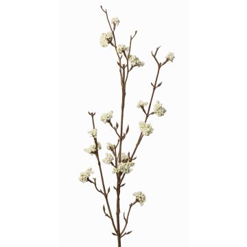 Liebesperlenstrauch Zweig künstlich LARINA mit Beeren, creme, 70cm
