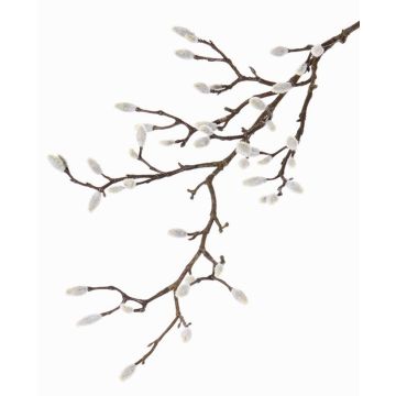 Dekozweig Magnolie KOTORI, grau, 75cm, Ø0,5-1cm Dekozweig Magnolie KOTORI, grau, 75cm, Ø0,5-1cm