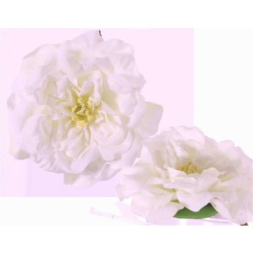 Künstliche Rosenblüte SASKIA, schwimmend, creme, 5cm, Ø15cm Künstliche Rosenblüte SASKIA, schwimmend, creme, 5cm, Ø15cm