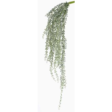 Erbsenpflanze Senecio Hänger künstlich KANELO, Steckstab, grün-grau, 80cm