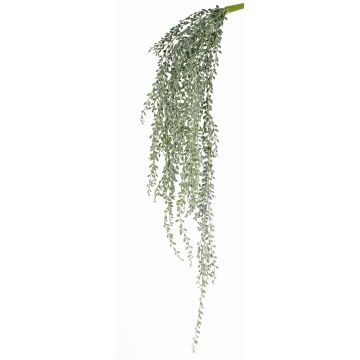 Erbsenpflanze Senecio Hänger künstlich KANELO, Steckstab, grün-grau, 80cm