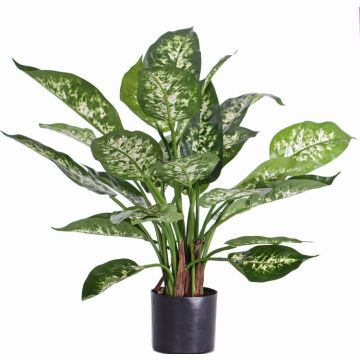 Künstliche Dieffenbachia DILLA, grün-weiß, 50cm