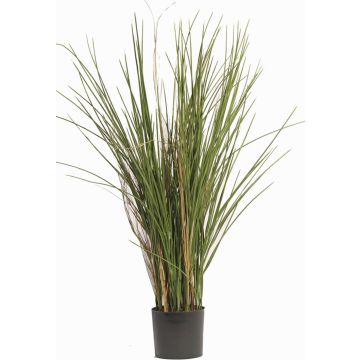 Schilfgras künstlich DELSIN, crossdoor, grün-braun, 80cm Schilfgras künstlich DELSIN, crossdoor, grün-braun, 80cm