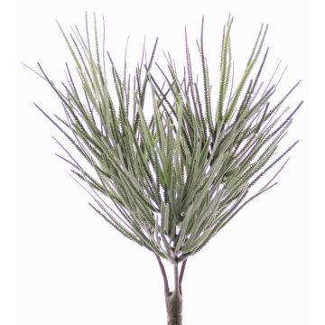 Kunst Euphorbia sipolisii CHENOA auf Steckstab, grün-grau, 30cm, Ø20cm