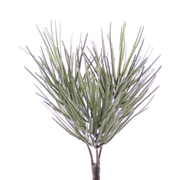 Kunst Euphorbia sipolisii CHENOA auf Steckstab, grün-grau, 30cm, Ø20cm