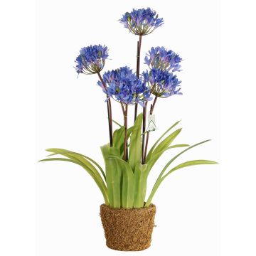 Kunstblume Agapanthus INJALA im Erdballen, blau-lila, 80cm, Ø11cm Kunstblume Agapanthus INJALA im Erdballen, blau-lila, 80cm, Ø11cm