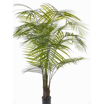 Areca Palme künstlich MELMAN, crossdoor, 175cm