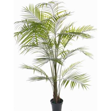 Areca Palme künstlich MELMAN, crossdoor, 190cm