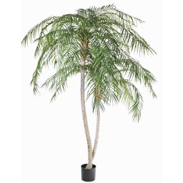 Phönix Palme Kunstpflanze PANCHALI, crossdoor, 225cm Phönix Palme Kunstpflanze PANCHALI, crossdoor, 225cm