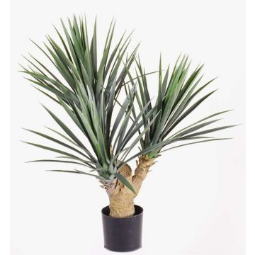 Yucca Palme gloriosa künstlich KEYLA, crossdoor, 70cm Yucca Palme gloriosa künstlich KEYLA, crossdoor, 70cm
